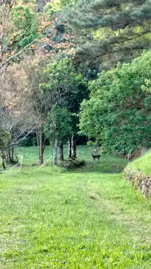 Estalagem Reserva Da Collina กรามาโด ภายนอก รูปภาพ