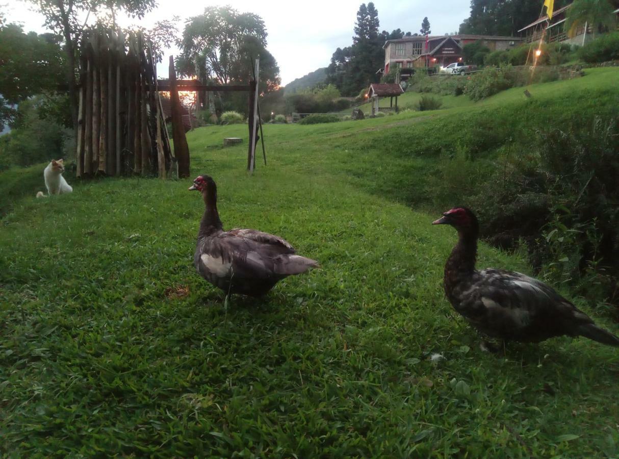 Estalagem Reserva Da Collina กรามาโด ภายนอก รูปภาพ